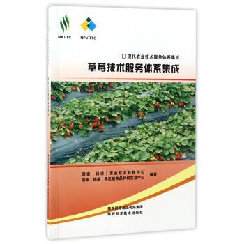 国家现代农业技术服务体系集成 草莓产业的技术创新与服务实践