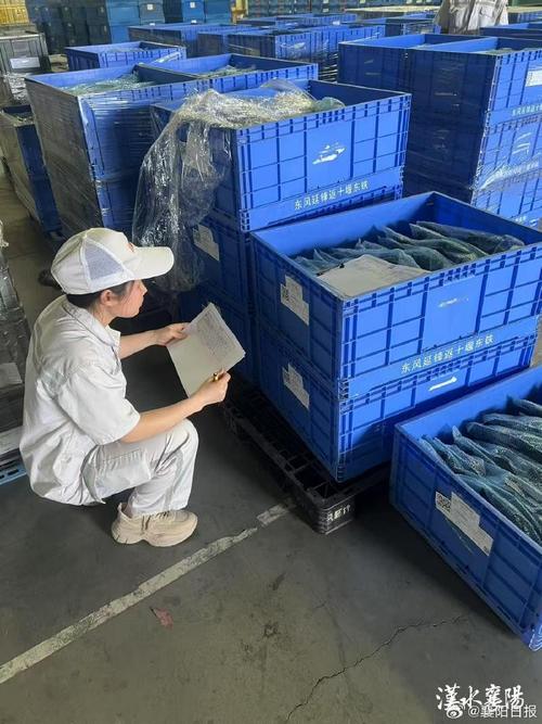 通过持续推动技术创新和管理升级,为消费者提供卓越的汽车产品和服